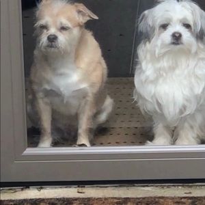 Meet your Posher, Sandra